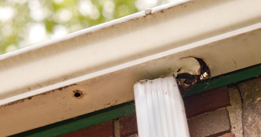 Instalacion de Canalones Top Tejados Asturias