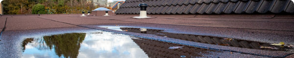 Reparación de Goteras Top Tejados Asturias