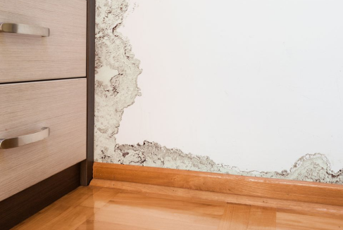 Reparacion de Humedades Top Tejados Asturias