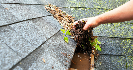Trabajos Verticales Top Tejados Asturias