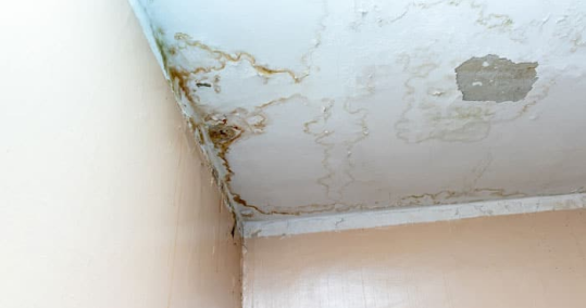 Reparacion de Humedades Top Tejados Asturias