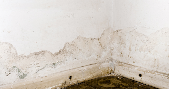 Reparacion de Humedades Top Tejados Asturias