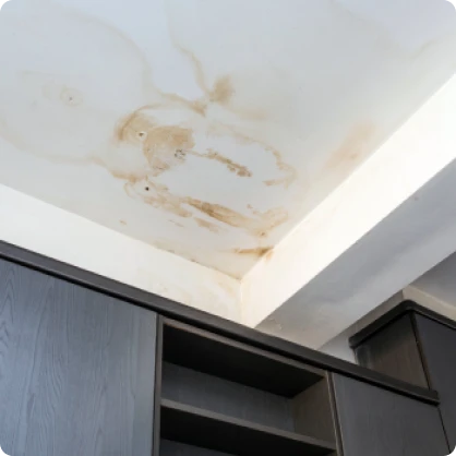 Ciudad Top Tejados Asturias